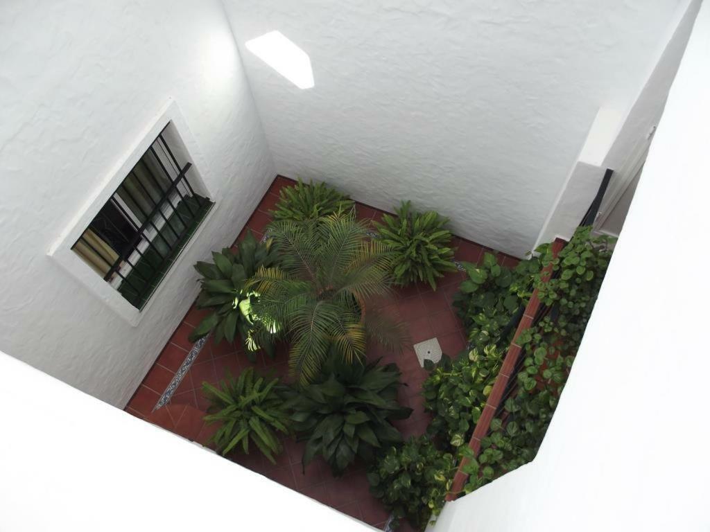 Apartamento En Conil Conil De La Frontera Exteriör bild